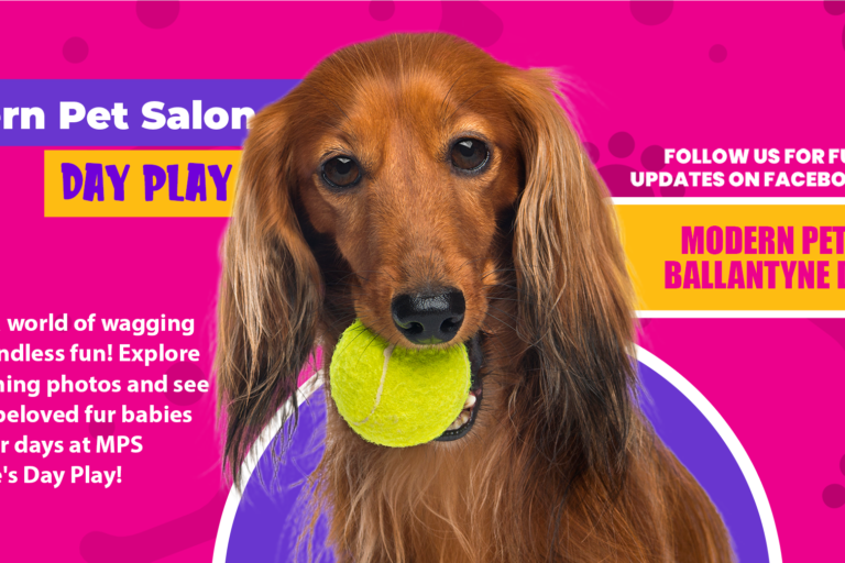 Modern Pet Salon